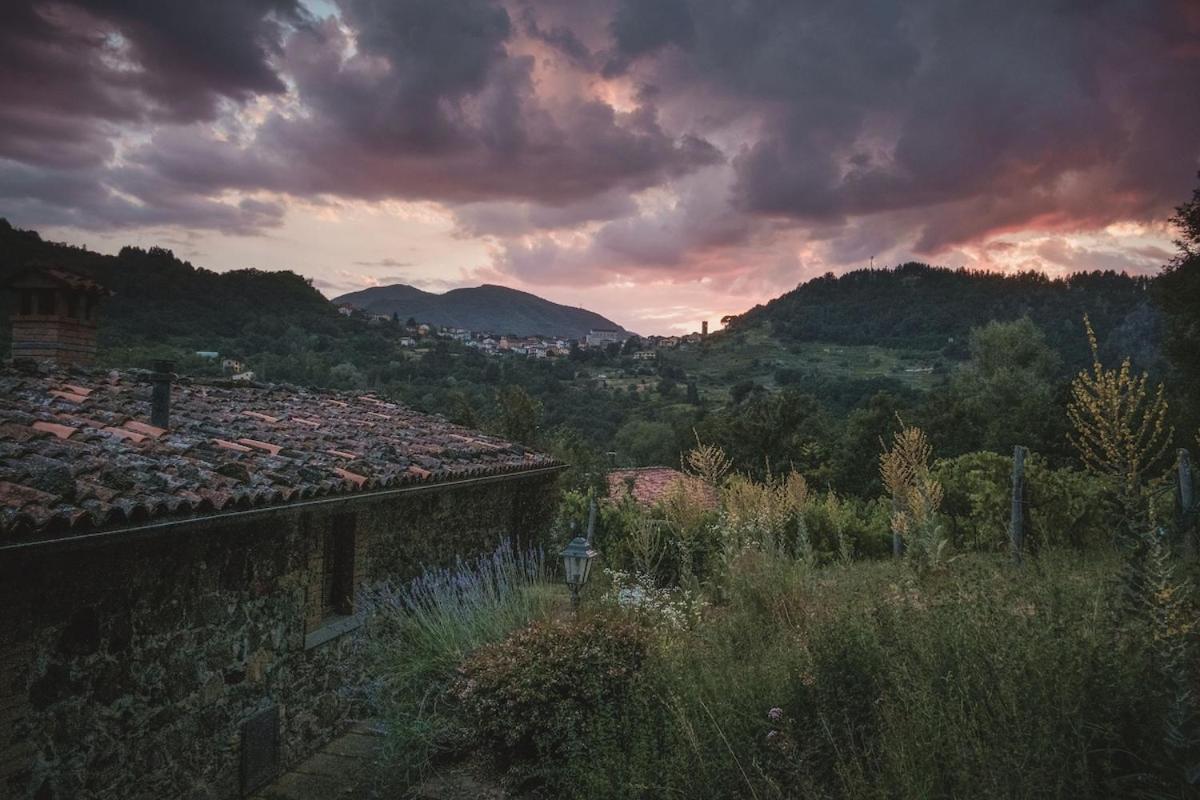 Borgo Del Sole Agriturismo Poggio  Екстериор снимка